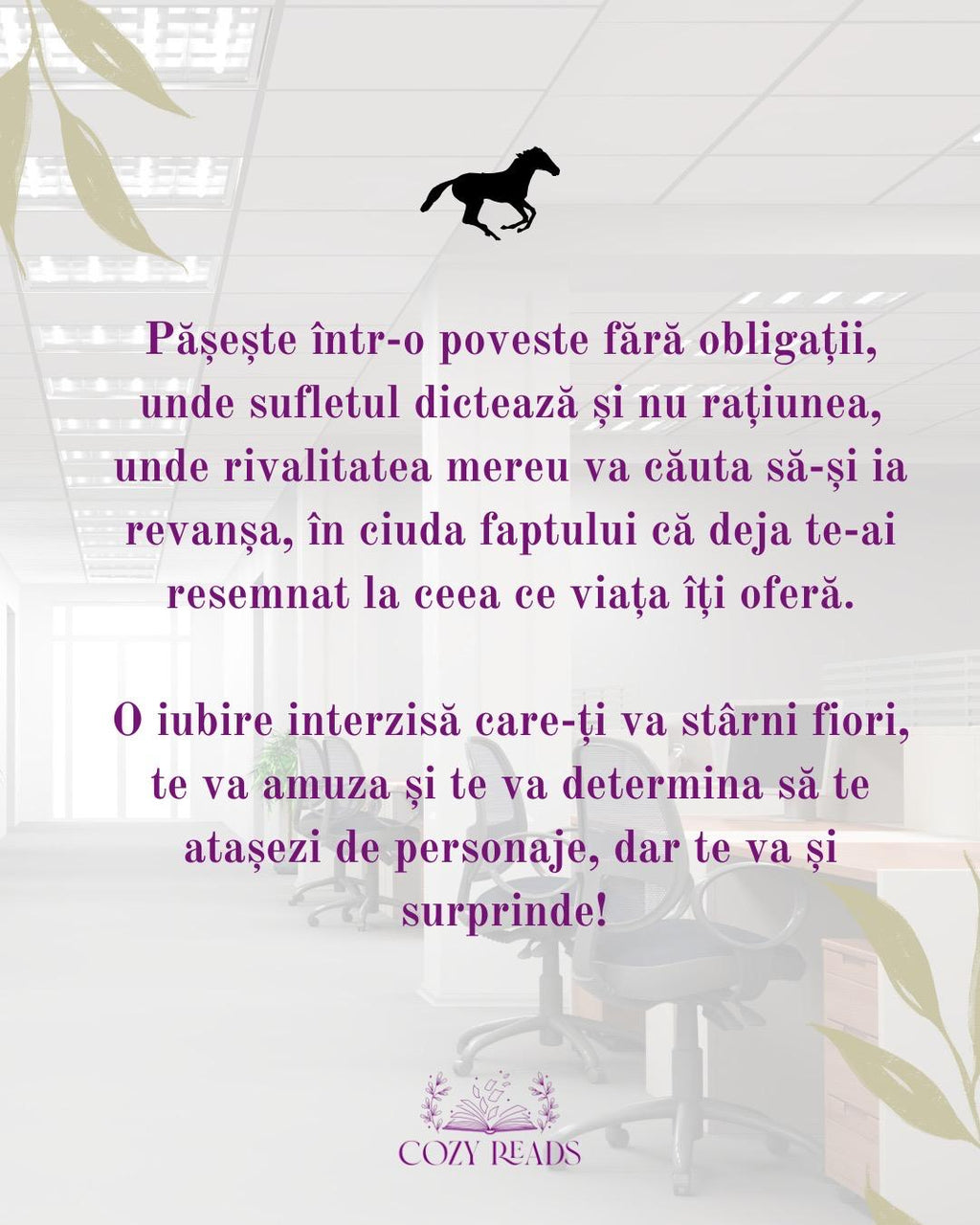 Pachetul 4 - Cozy reads