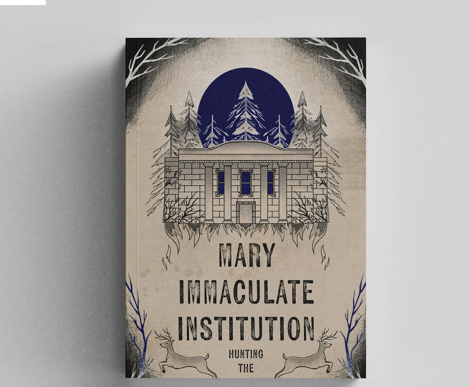 Mary Immaculate Institution - Hunting The Truth