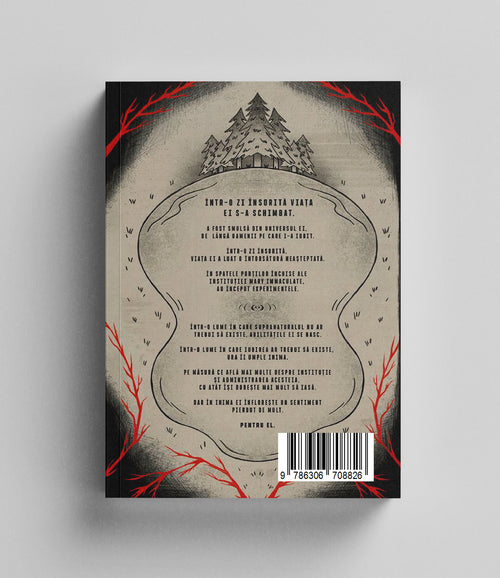 Institutul Mary Immaculate