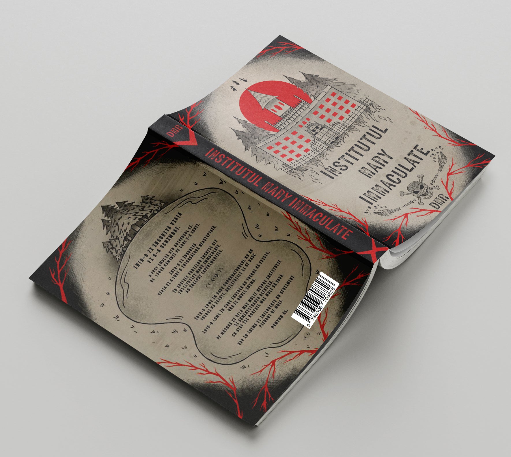 Institutul Mary Immaculate